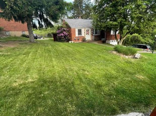 Barry D.'s Lawn Mowing service result
