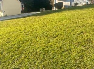 Sara B.'s Grass Cutting service result
