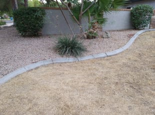 Bush Trimming by William Townsend for Jackie T. in Phoenix, AZ