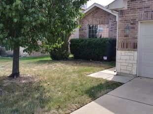 Bush Trimming by Edward Rodriguez for Linda P. in Fort Worth, TX