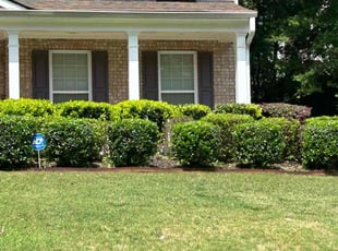 Bush Trimming by Valtoria Sears for Betty M. in McDonough, GA