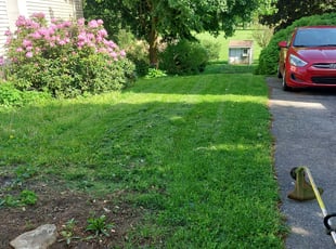 Bush Trimming by Pedro Andrades for Stacie K. in Lancaster, PA