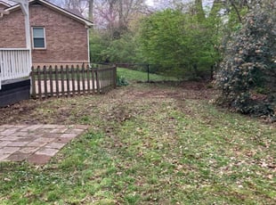 Leaf Removal by Mackenzie Allen for Dina F. in Louisville, KY