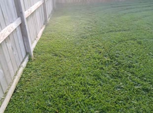 Sally S.'s Lawn Service service result