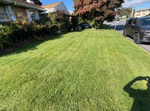 Sharon W.'s Lawn Mowing service result