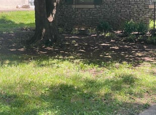 Nana S.'s Leaf Removal service result