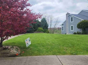 Dan S.'s Lawn Care service result