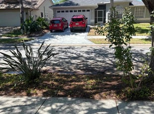 Leaf Removal by Cheryl Badger for Sharnerra A. in Tarpon Springs, FL