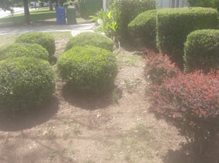 Leaf Removal by Robert Murray for Keyanna J. in Atlanta, GA