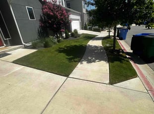 Jean B.'s Lawn Mowing service result