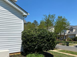 Bush Trimming by Brandon Brewer for Andrea Z. in Cornelius, NC