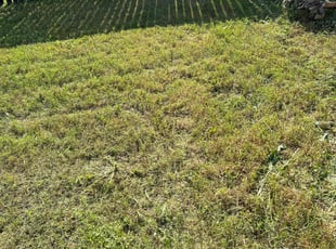 Cleanups by Juan Uribe for Benjamin C. in Red Oak, TX