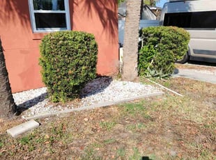 Bush Trimming by Anthony Farley for Cheryl F. in Redington Beach, FL
