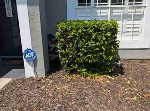 Bush Trimming by John Murtagh for Amy Q. in Oldsmar, FL