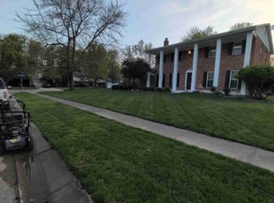 David M.'s Lawn Service service result