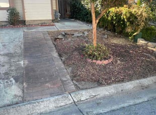 Bush Trimming by Davionne Rushing for Veva H. in San Jose, CA