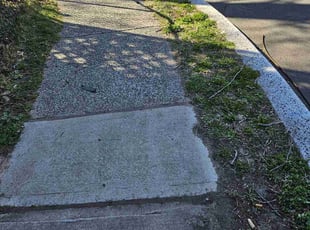 Leaf Removal by Richard Solier for Tay W. in Newark, NJ