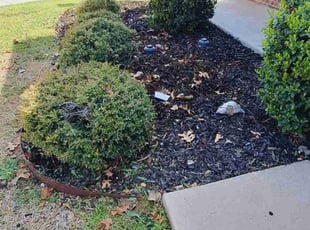 Weeding by Kevin (Jesus) Valencia for Brittany Y. in Little Elm, TX