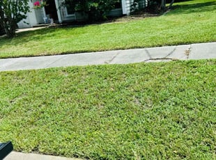 Ross C.'s Lawn Mowing Service service result