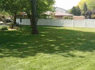 Caron S.'s Lawn Service service result