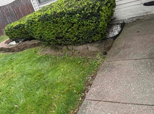 Bush Trimming by Jumal Hawkins for Jacqueline M. in Indianapolis, IN