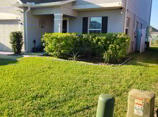 Ala P.'s Lawn Service service result