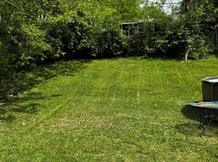 Anil K.'s Lawn Service service result