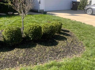 Bush Trimming by Dwayne Galloway for Teresa G. in Canal Winchester, OH