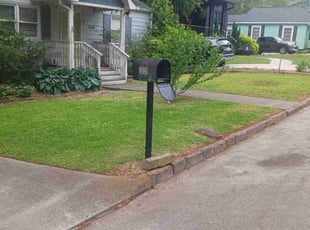 Sophia C.'s Lawn Mowing Service service result