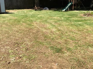 Leaf Removal by Kareem Johnson for Patrick A. in Gonzales, LA