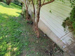 Bush Trimming by Edwin Villagran for James C. in Gaithersburg, MD