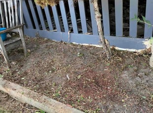 Weeding by Jasmine Hill-hudson for Bri B. in Milwaukee, WI