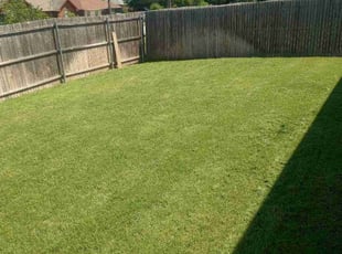lisa w.'s Lawn Care service result