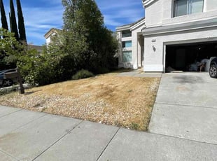 Leaf Removal by Jamielson Sardinha for Alesia S. in Antioch, CA