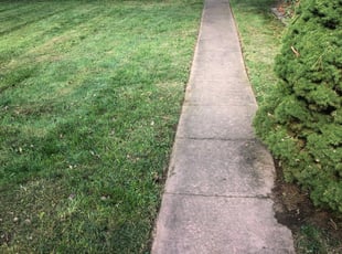 Leaf Removal by Donald Prentiss for Alex H. in Columbus, OH