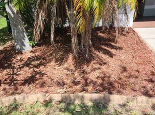 Weeding by Antwon Lee for Travis M. in Riverview, FL