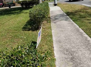 Bush Trimming by Raoul louza for Robert S. in Lakeland, FL