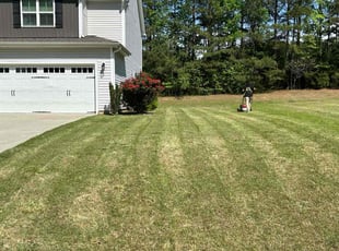 Grant D.'s Lawn Mowing service result