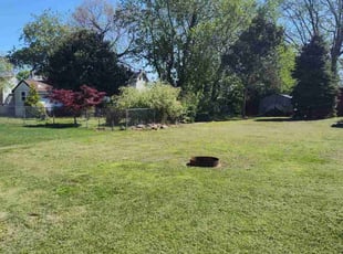Vince O.'s Lawn Mowing service result