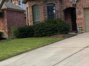 Michael P.'s Lawn Service service result