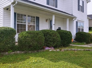 Bush Trimming by Chris Thomas for Marsha F. in Chester, VA