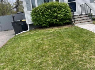 Bush Trimming by Jeanrenald Limage for Tri D. in Avon, MA