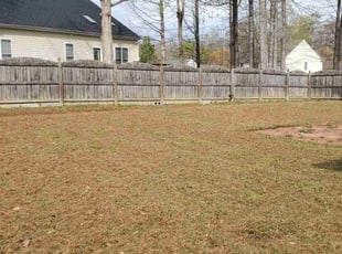 Leaf Removal by Rohan James for Mellone P. in Chester, VA