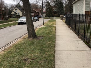 Cleanups by Larry Cornelious for Helen P. in Chicago, IL