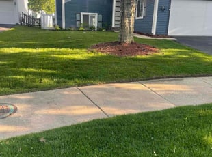 Shanika W.'s Lawn Service service result