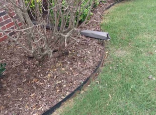 Weeding by JP. Andreatta for Molly . in Broken Arrow, OK