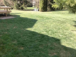 Leaf Removal by Rodney Wedge for Arulvelan R. in Canton, MI