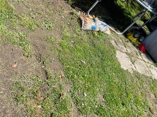 Leaf Removal by Charles Williams for Summer C. in Cuddy, PA