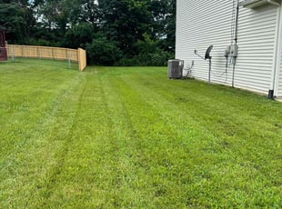 Paul H.'s Lawn Maintenance service result