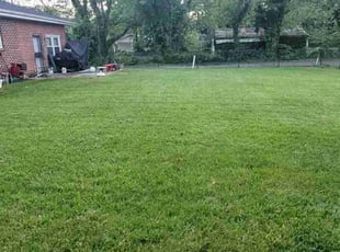 Imran A.'s Lawn Care service result